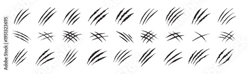 Claw scratches isolated. Black Bear tiger claws trails, animal scratched white paper. Flat scratch marks, racy wild beast tracks clipart