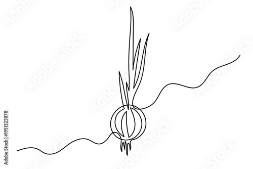 Onion one line art, hand-drawn vegetarian vegetable crop healthy diet continuous drawing contour outline, natural vitamin farming agriculture sprouted plant. Editable stroke. Isolated. Vector