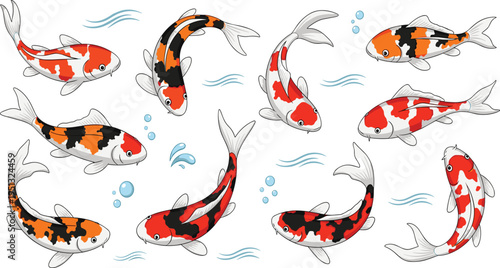Koi Fish Vector Collection Featuring Red White and Black Patterns, Elegant Swimming Poses, and Ornamental Aquarium Fish Illustration for Pond and Design Projects.