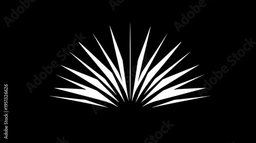 Abstract radial design with pointed white elements on a black background. Symmetrical graphic pattern resembling a stylized sunburst or open book.