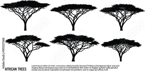 African acacia tree silhouette vector illustration set, savanna landscape elements, black umbrella tree icons isolated on white background, safari nature.