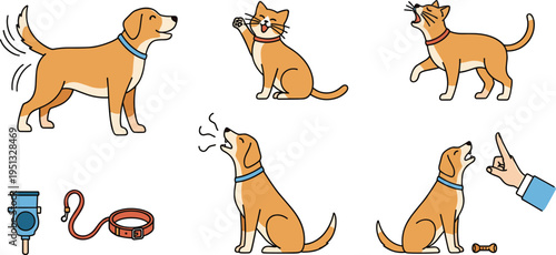 A Collection of Dog and Cat Illustrations with Playful and Training Activities, Including Leash, Collar, and Pet Behavior for Pet Care Designs
