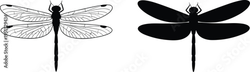 Dragonfly insect silhouette and detailed wings illustration set, black dragonfly outline vector, flying nature insect symbol isolated, entomology wildlife design element