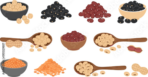 Various Legumes and Beans Collection in Bowls and Spoons Including Lentils, Peanuts, Black Beans, and Kidney Beans for Healthy Eating