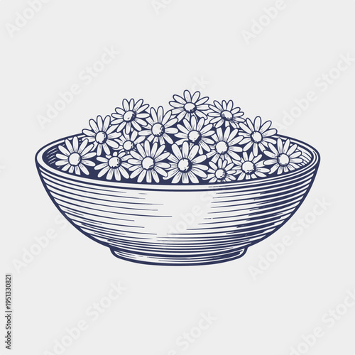 Bowl of chamomile flowers. Vintage hand drawn line art vector design. Herbal medicine and natural cosmetics concept