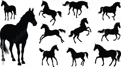 Horse silhouettes collection, running and standing equine poses set, farm animal vector illustration, black horse shapes isolated design