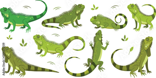 Green Iguana Lizard Vector Set Featuring Various Poses, Tropical Reptile Behavior, and Detailed Cartoon Style for Wildlife Illustration, Education, and Design Projects.