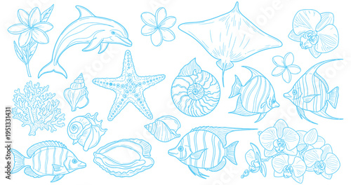 Summer vector line art collection featuring various tropical marine animals, exotic flowers, and intricate seashells, ideal for beach-themed designs