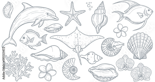 A whimsical collection of marine life and tropical flowers, perfect for summer-themed designs and seaside aesthetics