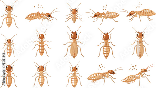 Detailed Termite Insect Vector Set Featuring Multiple Poses, Life Stages, and Colony Behavior for Pest Control, Biology Study, and Educational Design Use.