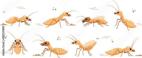 Termite Insect Illustration Set Featuring Crawling, Working, and Different Poses of Small Wood-Eating Bug in Natural Ground Habitat.