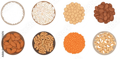 Variety of Nuts and Seeds in Bowls Including Almonds, Sunflower Seeds, Soybeans, and Peanuts for Healthy Eating and Snacks
