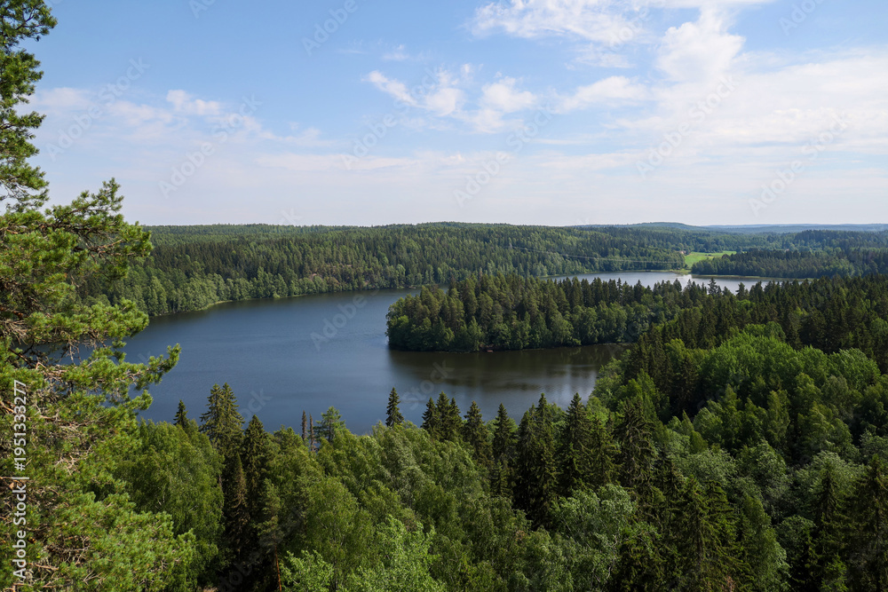 Naklejka premium A panoramic bird's-eye view of a lush green forest and tranquil lake on a sunny summer day. The backdrop is tranquility, natural beauty, and the horizon