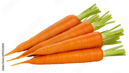 Canvastavla Isolated fresh whole orange carrots with green tops, healthy raw organic vegetab