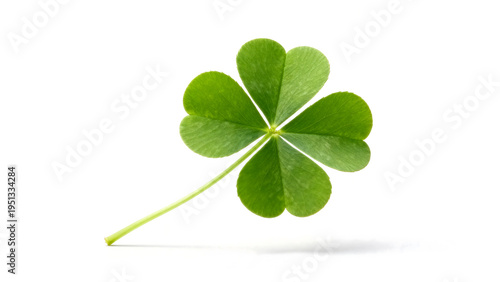 Four-Leaf Clover Isolated on White Background for PNG