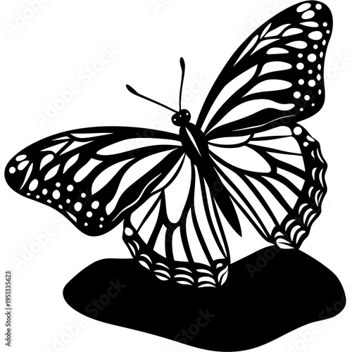 Colorful butterfly vector silhouette on white background with detailed wings