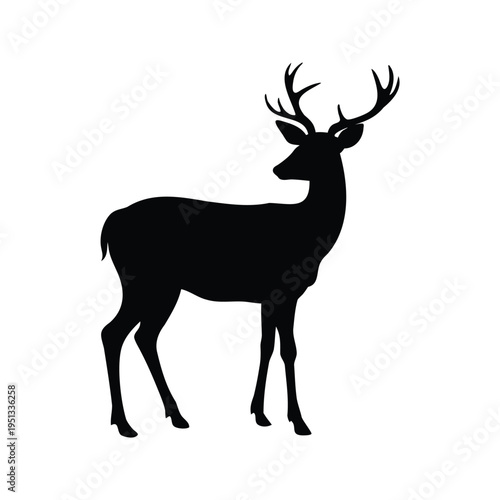 Black and white silhouette of a deer with antlers standing in a natural pose, silhouette vector illustration, deer turning head sideways silhouette vector illustration