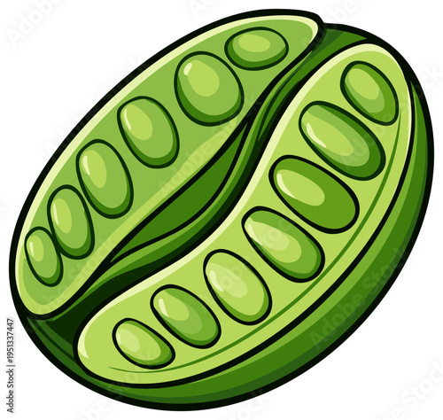 Open Green Bean Pod with Multiple Beans Inside Cartoon Illustration