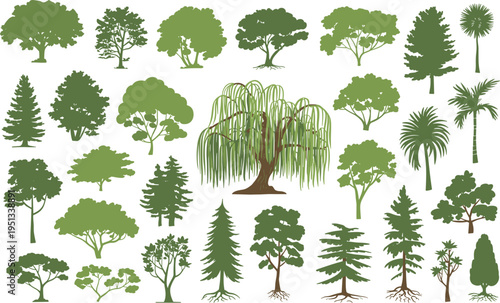 Diverse collection of green trees isolated on white background vector illustration set nature design