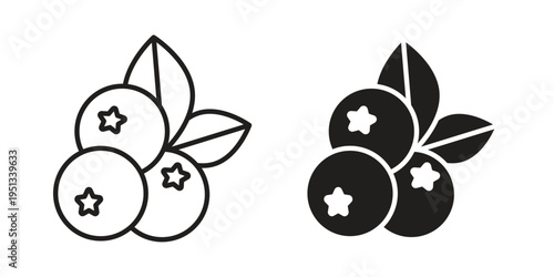 Blueberries icon set. outlined and solid flat clipart versions.