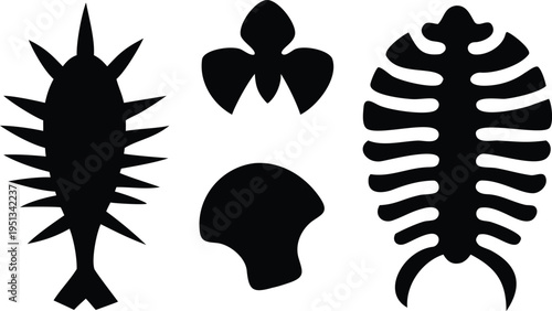 Black silhouettes of ancient fossils and sea creatures extinct