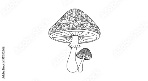 Intricate black and white line drawing features two mushrooms decorated with complex swirling and geometric patterns.