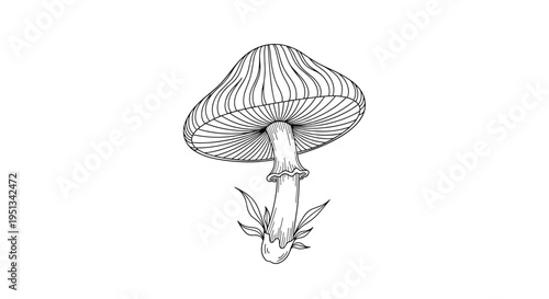 Minimalist black and white line drawing of a single mushroom with thin leaves around its base on a white background.