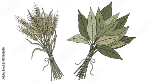 Detailed drawing of a bundle of golden wheat ears and a bunch of green leaves tied together with simple white string.
