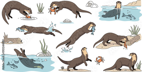 Cartoon otter illustrations in aquatic and terrestrial environments showing playful behaviors like swimming, diving and catching prey for educational vector projects