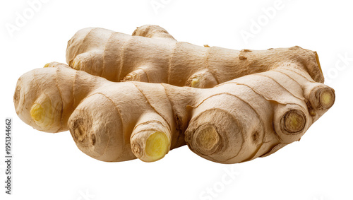 Isolated fresh organic ginger root a potent aromatic spice and healthy cooking ingredient