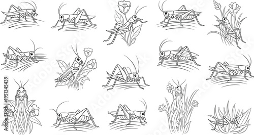 Grid of fifteen black and white illustrations of grasshoppers and flowers for biology, decorative and educational vector design projects