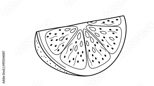 Black and white line art illustration of a wedge of citrus fruit like lemon or lime with segments and seeds on white background.