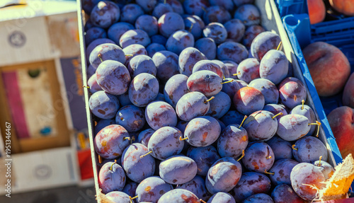 Bild auf Leinwand Fresh plums, market produce, stone fruit, ripe plums, seasonal fruits, fruit box