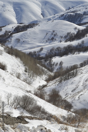 a deep valley carved between rolling snow-covered hills under bright daylight dark clusters of leafless trees
