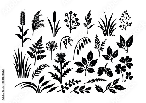 Botanical silhouettes set illustrating various wild plants, leaves, flowers, and herbs. Black and white graphic elements for design
