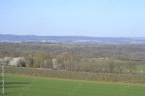 a lush green agricultural field in the foreground leading to rows of fruit trees and blossoming white spring flowers the rolling hills in the distance are dotted with small white towns 