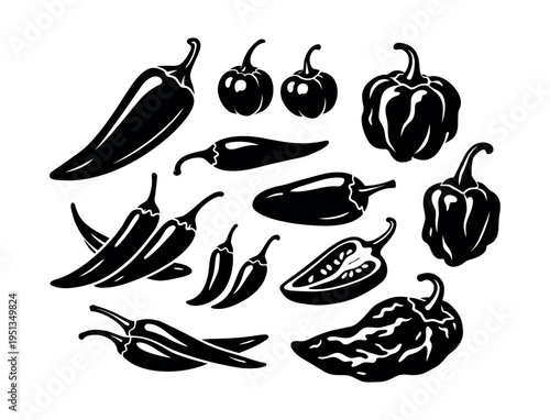 Black and white illustration set of many different chili peppers, showcasing various types and the concept of spice