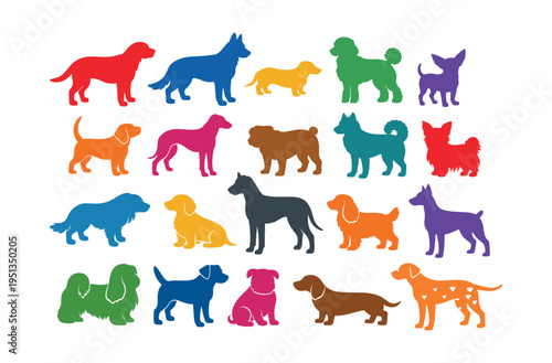 Various dog breeds in colorful icon silhouettes, standing and sitting, showing pets, breeds, and animal diversity