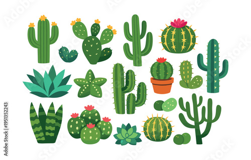 Cactus and succulent plants illustrating various types of desert flora, including saguaro, prickly pear, and potted succulents