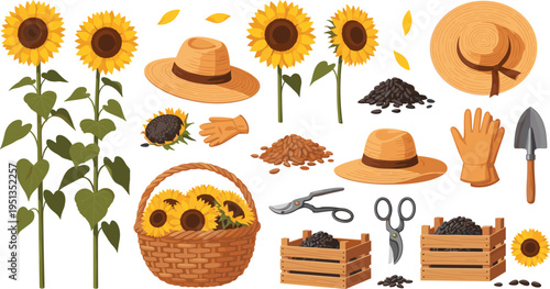 Sunflower Harvest Agriculture Set Featuring Blooming Sunflowers Seeds Garden Tools Straw Hat Gloves Basket Crates and Farming Elements Vector Illustration Collection