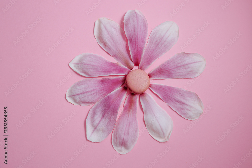 Obraz premium Pink Macaron Flower Made of Magnolia Petals on Pastel Background