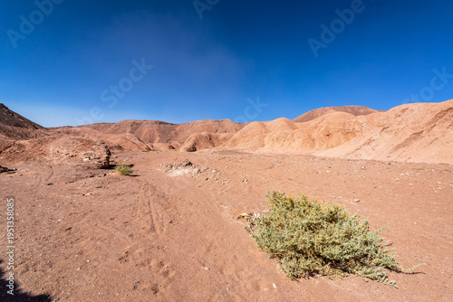 Atacama desert landscape in San Pedro de Atacama, Chile