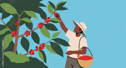 Person wearing a hat picks red berries from a plant branch with leaves