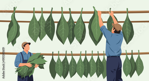Farmers dry harvested leaves on racks in a simplified illustration