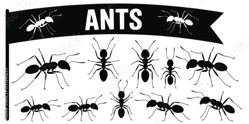 Insect vector set, ants, emmet, pismire silhouettes, insect icons, insect banner, ant colony, black insect shapes, bug symbols, vector illustration collection for educational, scientific, and creative