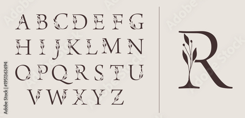 Botanical hand drawn alphabet letters collections for boutique logos and wedding monograms.