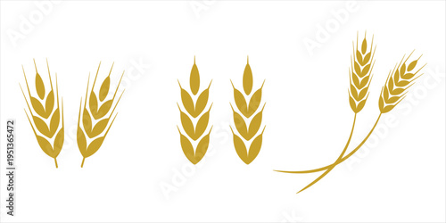 Golden wheat ears isolated on white background vector illustration grain stalk