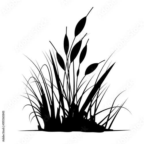 wetland plant, tall grass silhouette, monochrome reed or bulrush, cattail