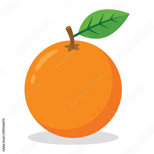 Orange Fruit with Leaf Illustration