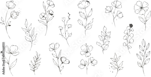 The image is a collection of delicate line drawings of various flowers and foliage. They are arranged in a somewhat random pattern, but generally in rows.